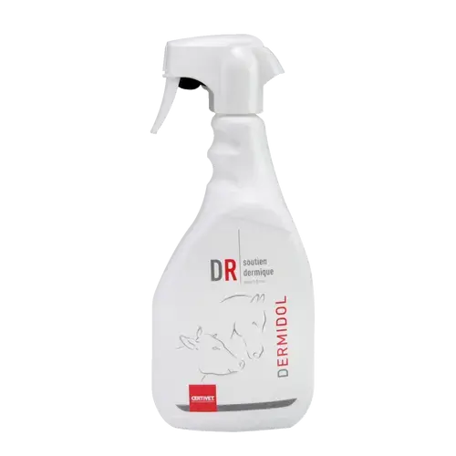 DERMIDOL - Miniature 3