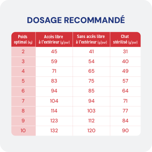 Croquette diététique - Rénal Chat Croquette diététique - Rénal Chat - Image 4