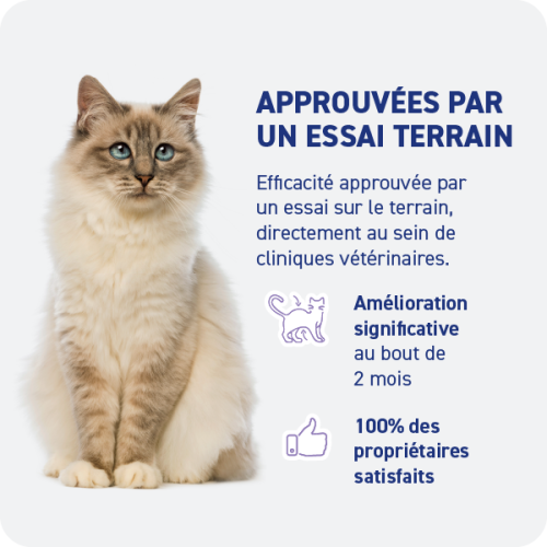 Croquette diététique - Obésité Chat - Miniature 4