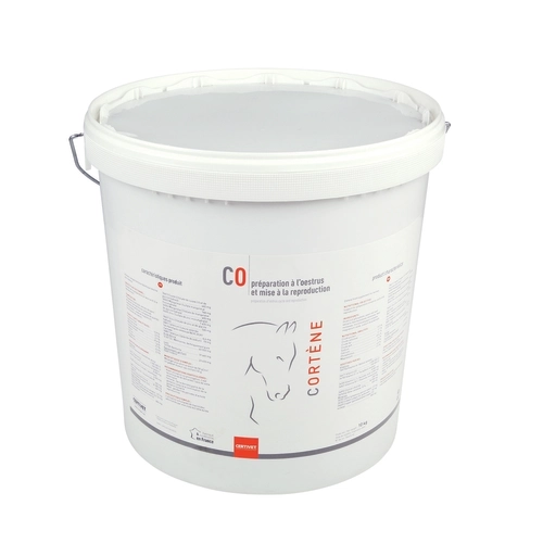 CORTENE - Miniature 3