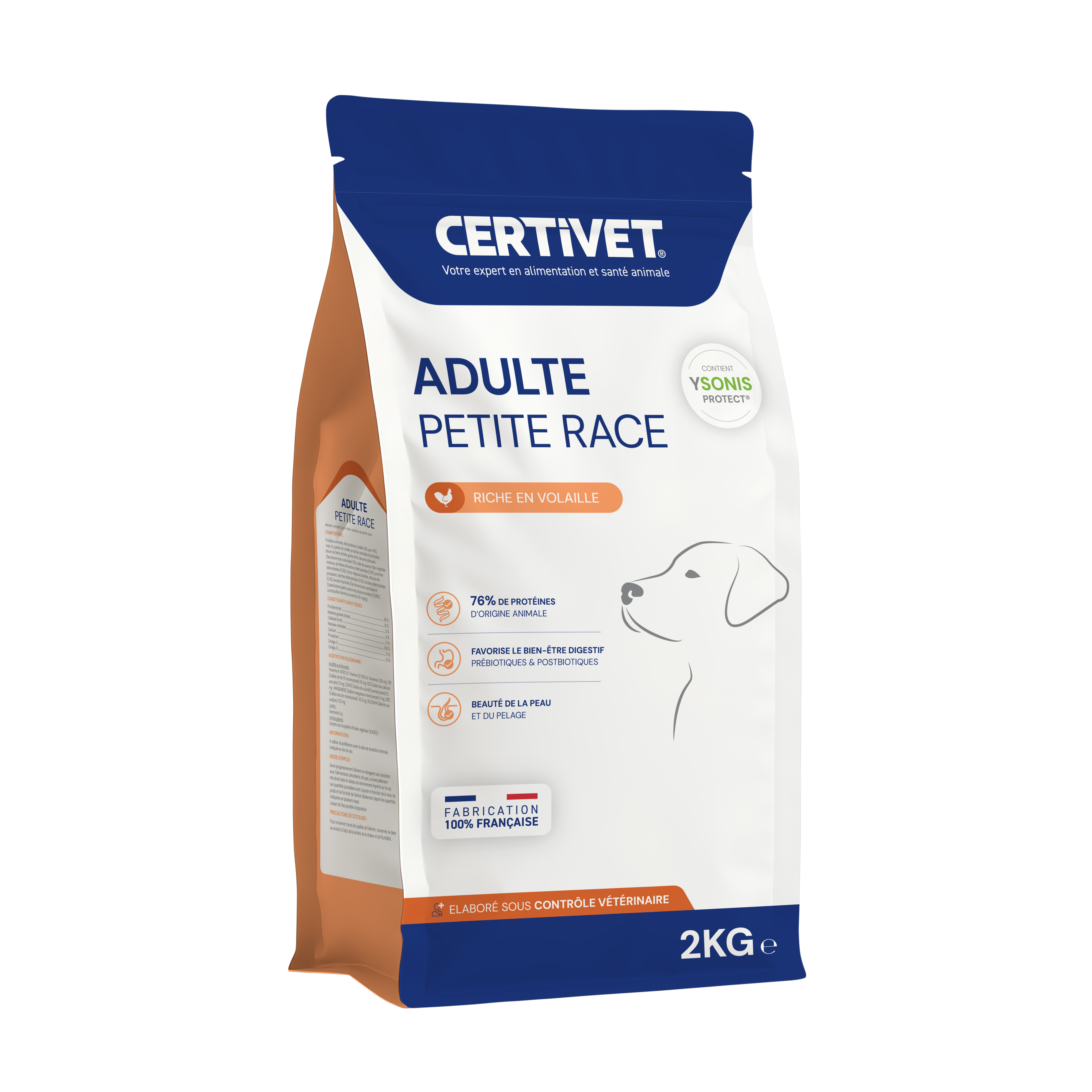 Chien adulte - petite race