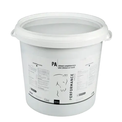 PERFORMANCE ATHLETIC - Miniature 3