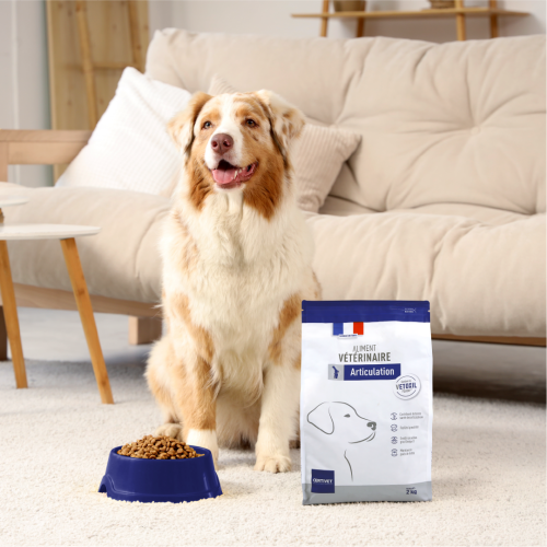 Croquette diététique - Articulation Chien - Miniature 2