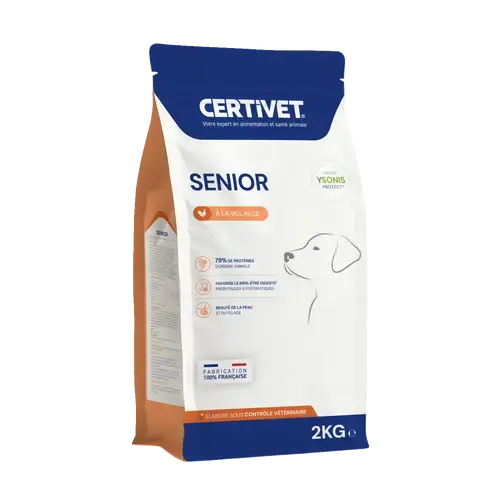 Chien senior - Miniature 1