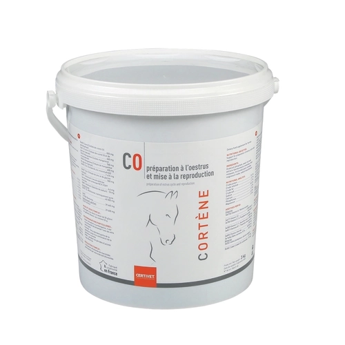 CORTENE - Miniature 3