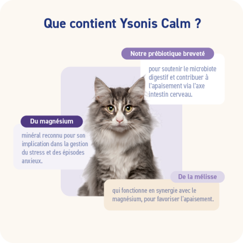 YSONIS CALM - Miniature 2