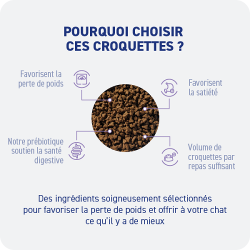 Croquette diététique - Obésité Chat - Miniature 2
