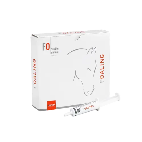 FOALING - Miniature 1
