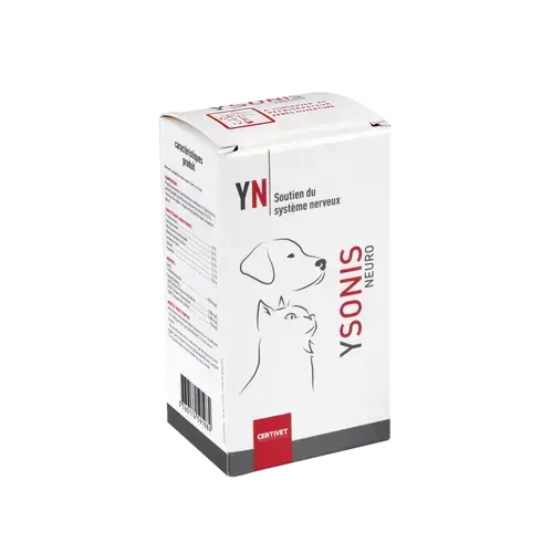 YSONIS NEURO YSONIS NEURO - Image 2