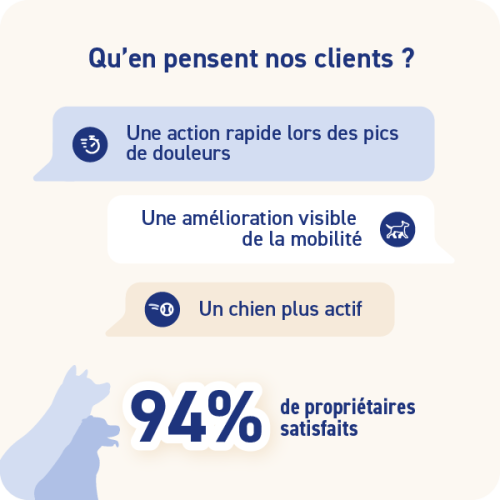 VETOXIL FLASH - Miniature 3