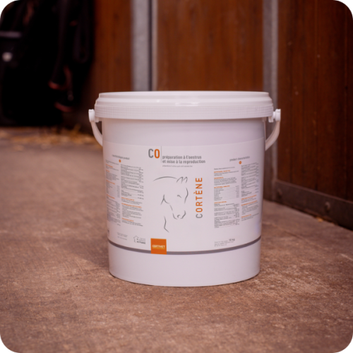 CORTENE - Miniature 2