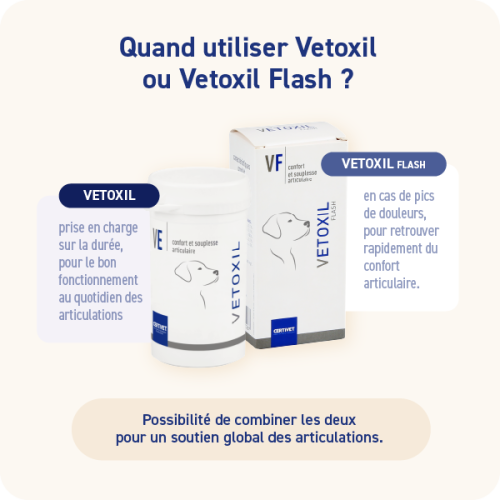 VETOXIL FLASH - Miniature 4