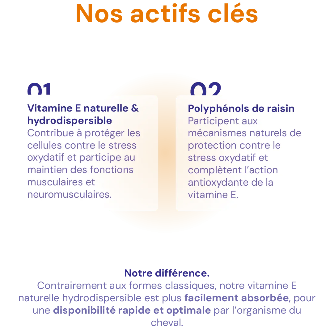 OXIPHEROL OXIPHEROL - Image 4
