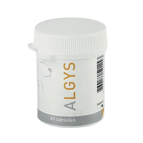 ALGYS ALGYS - Image 1