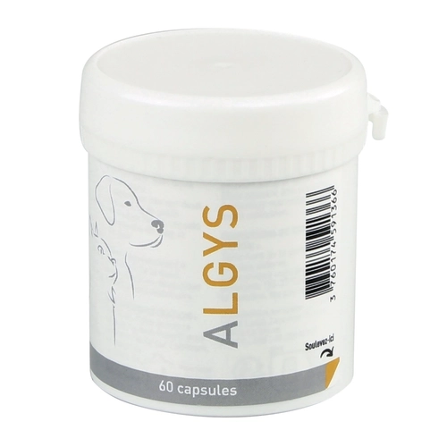 ALGYS ALGYS - Image 2