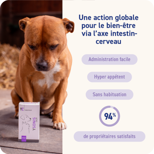 YSONIS CALM - Miniature 3