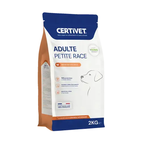 Chien adulte - petite race Chien adulte - petite race - Image 1