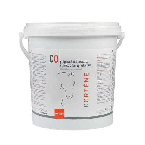 CORTENE - Miniature 4