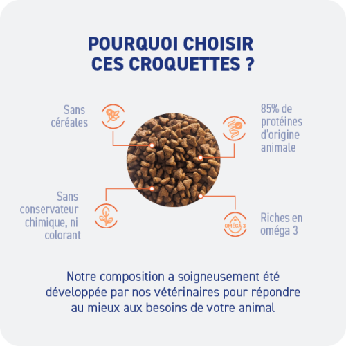 Croquette sans céréales - Chaton Croquette sans céréales - Chaton - Image 2