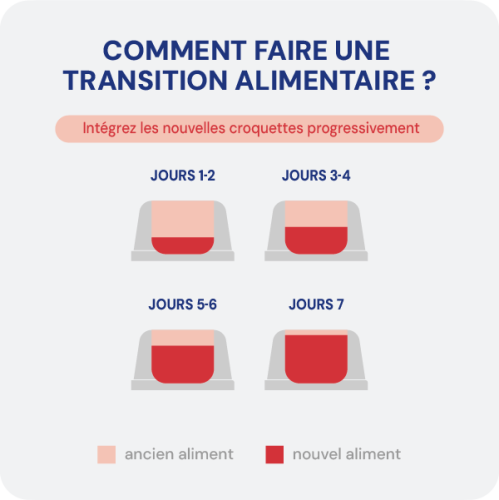 Croquette diététique - Rénal Chat Croquette diététique - Rénal Chat - Image 5