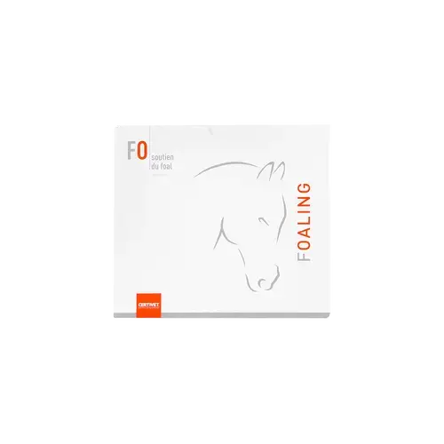FOALING - Miniature 3