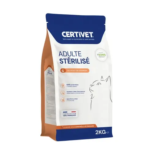 Chat adulte stérilisé