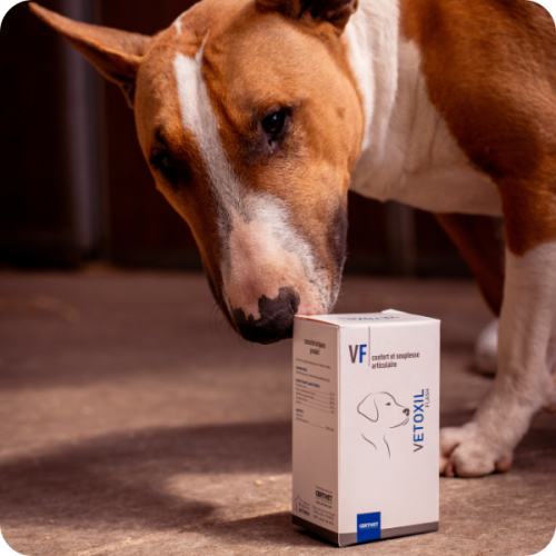 VETOXIL FLASH - Miniature 5