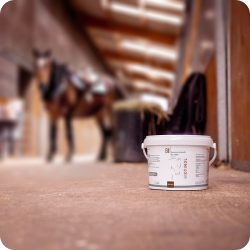 BIOTINOL - Miniature 2