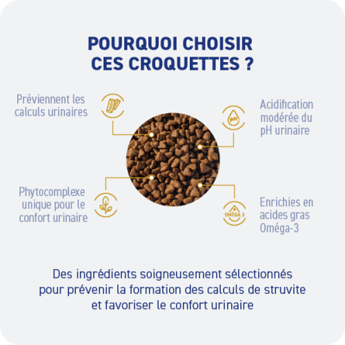 Croquette diététique - Urinaire Chat - Miniature 2