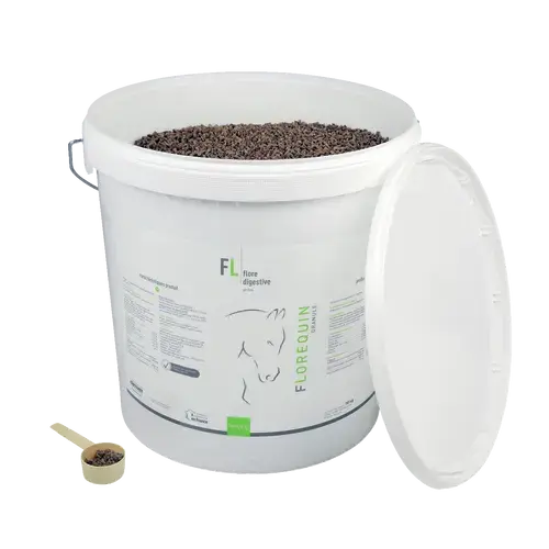 FLOREQUIN GRANULE - Miniature 7