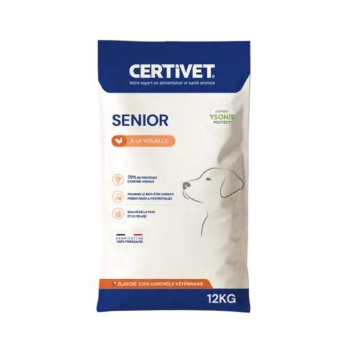 Chien senior - Miniature 4