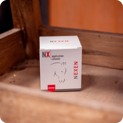 NEXEN NEXEN - Image 2