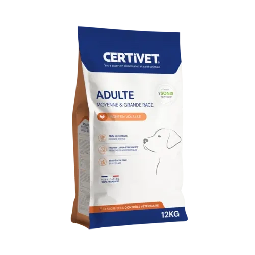 Chien adulte - moyenne et grande race Chien adulte - moyenne et grande race