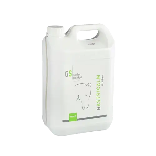 GASTRICALM SOLUTION - Miniature 6