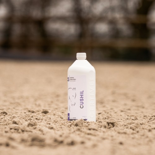 CUSHIL - Miniature 2