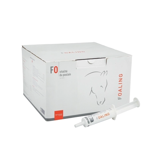 FOALING FOALING - Image 4