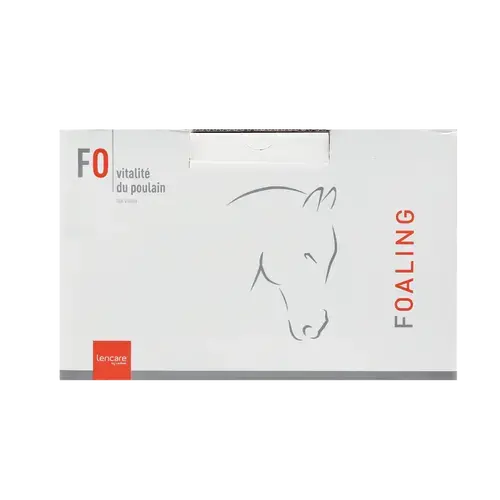 FOALING - Miniature 4