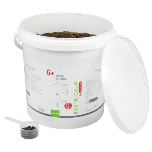 GASTRICALM G+ 25 000 MG - Miniature 4