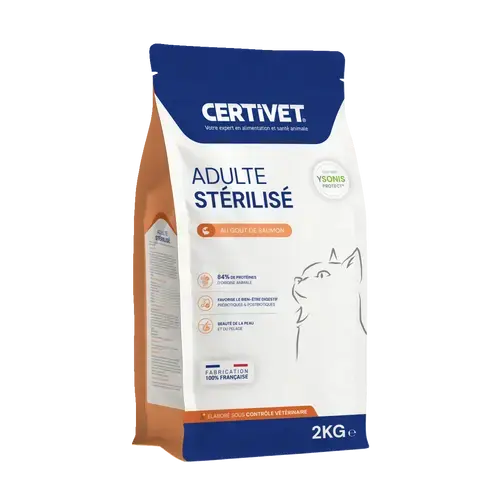 Chat adulte stérilisé