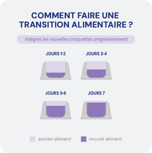 Croquette diététique - Obésité Chien Croquette diététique - Obésité Chien - Image 6