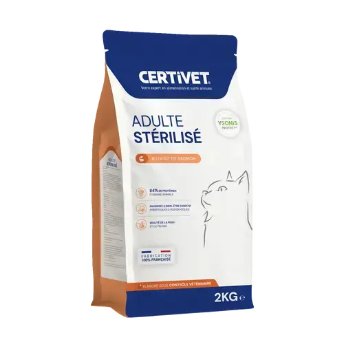 Chat adulte stérilisé