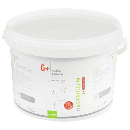 GASTRICALM G+ 25 000 MG