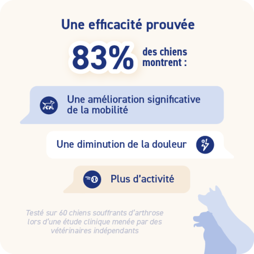 VETOXIL GRAND CHIEN - Miniature 3