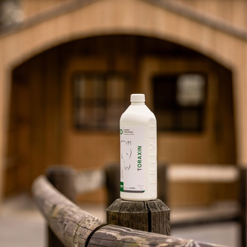 TORAXIN TORAXIN - Image 2