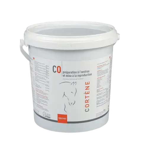 CORTENE CORTENE - Image 1