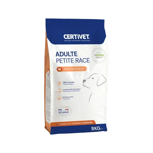 Chien adulte - petite race - Miniature 4
