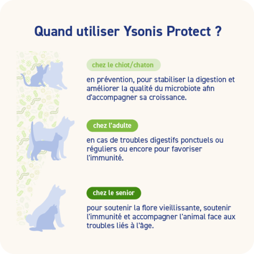 YSONIS PROTECT YSONIS PROTECT - Image 4