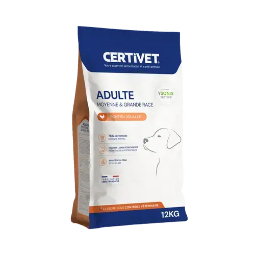 Chien adulte - moyenne et grande race - Miniature 1