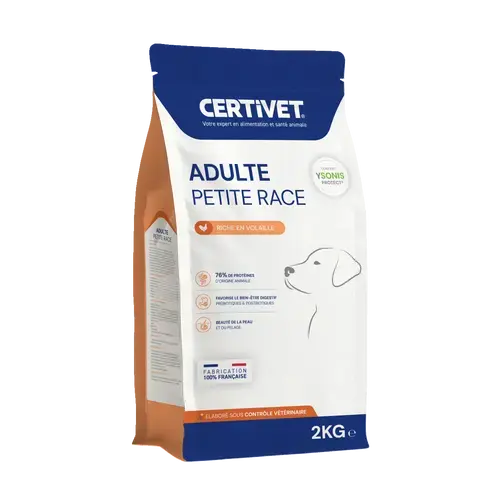 Chien adulte - petite race - Miniature 1