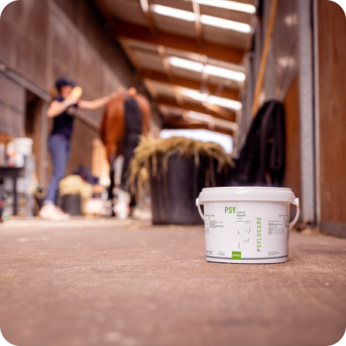 PSYLOCARE - Miniature 2